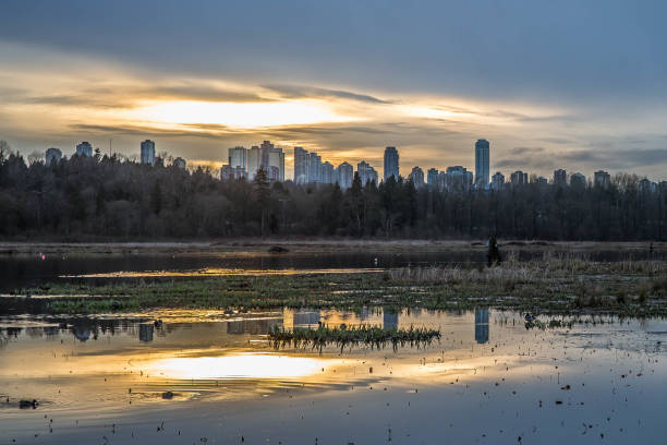 istock A Lake with a city view 646748204