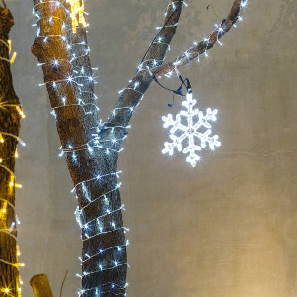 istock Closeup of Christmas decoration lights on trees . 646760836