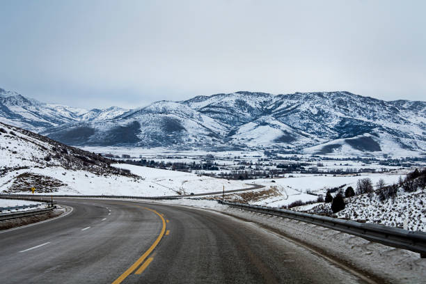 Utah winter mountains with aspen trees near Ogden Ski Resort in the winter trees in the cold winter utah canyon mountains deer valley resort stock pictures, royalty-free photos & images