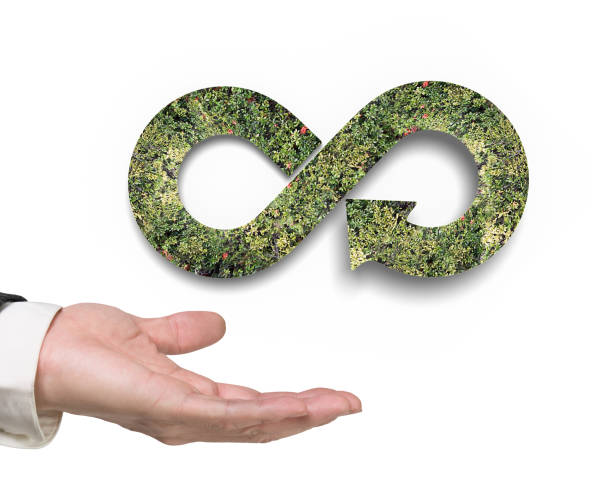 istock Green circular economy concept 646781108
