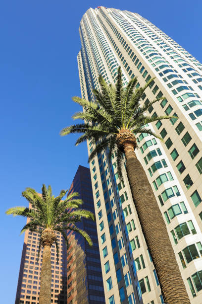 istock Los Angeles Skyscrapers 646784322