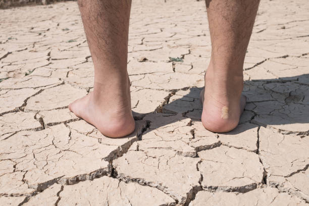 istock Crack dry ground on foot, drought concept. 646794164