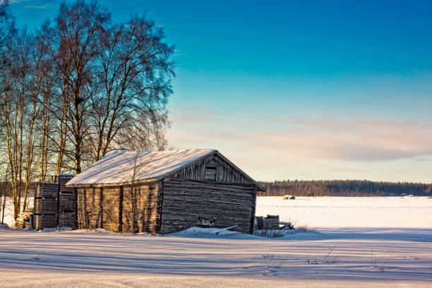 istock Old Barn Bathing In The Winter Sun 646800634