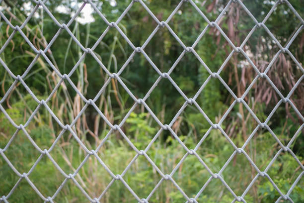 istock Wire mesh steel fence with nature background 646804332