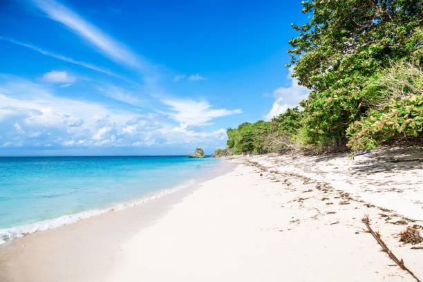istock Tropical beach and ocean in Bali. Blue sky. Tropical jungle 646804706