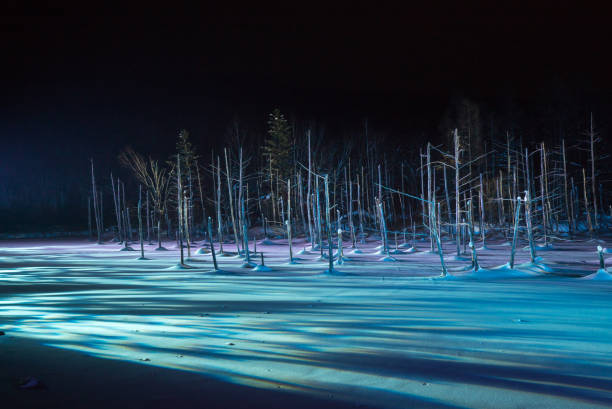 Blue pond illumination light up in winter night at Biei, Hokkaido, Japan. During the winter when the pond is frozen, it is lighting up at night. shirogane blue pond stock pictures, royalty-free photos & images