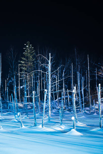 160+ Blue Pond Illumination Light Up In Winter Night At Biei