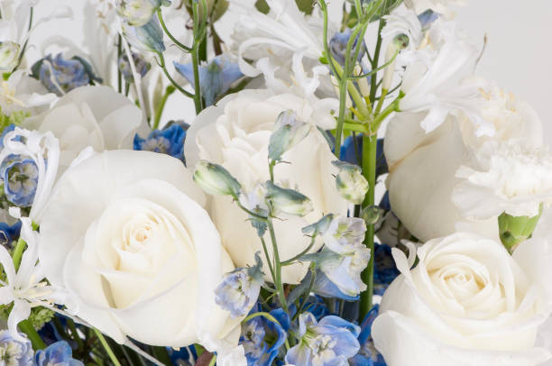 istock a bouquet of flowers on a white background 646815938