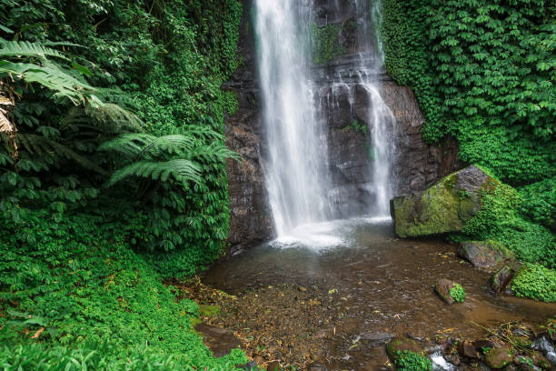 istock Waterfall in Bali, Asia. Tropical waterfall located in Bali 646816468