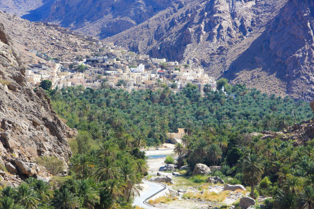istock Oasis of Wadi Bani Khalid, Oman. 646817366