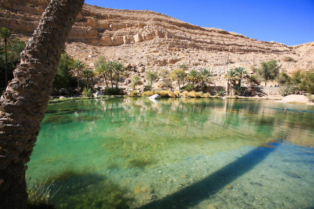 istock Pool of Wadi Bani Khalid, Oman. 646821480