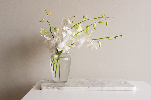 White orchid in glass vase on marble chopping board on white table