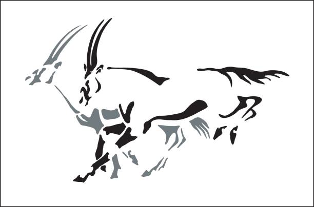 ilustrações, clipart, desenhos animados e ícones de órix da corrida - oryx