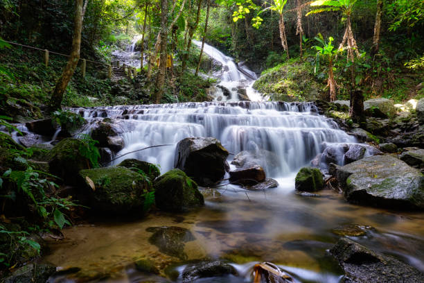 istock Deep forest waterfall at Maekampong Waterfall, Maekampong, Chiangmai, Thailand. 646836836