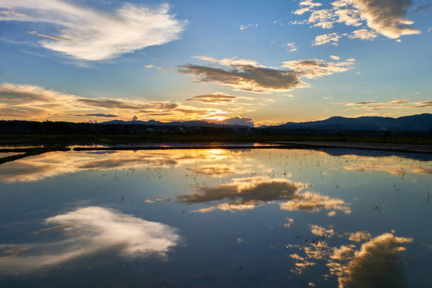 istock beautiful sunset at the field. 646840130