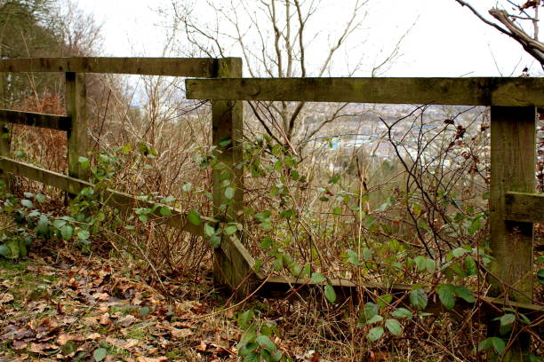 istock Woodland Path Erosion Land Slide Cracks following heavy rain 646840190