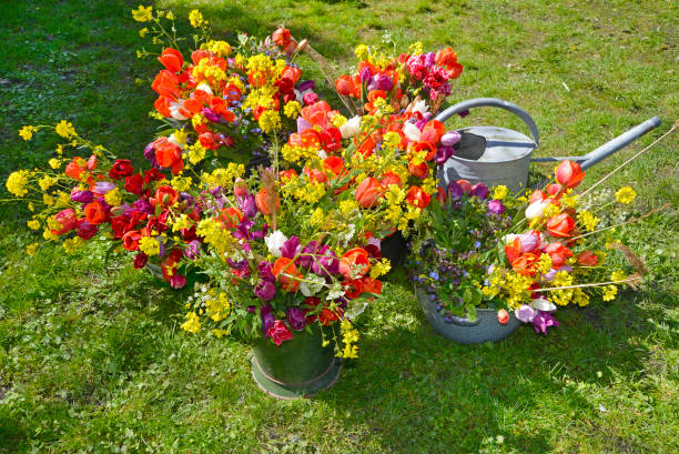 istock spring flower bouquet in garden 646852972