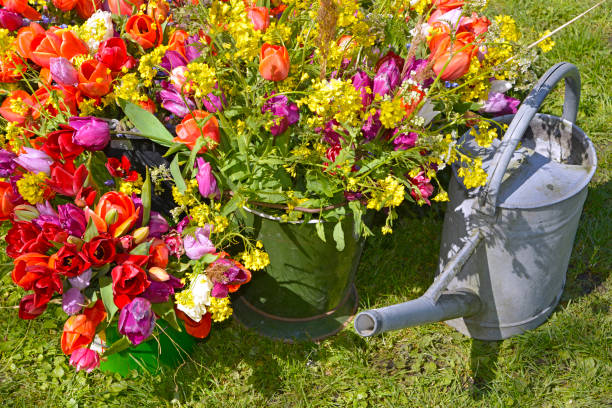 istock spring flower bouquet in garden 646856430