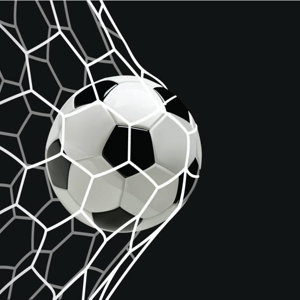 istock Soccer or Football Ball in the Net 646859292