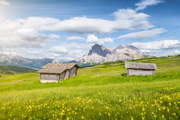 istock Alpe di Siusi, South Tyrol, Italy 646859398