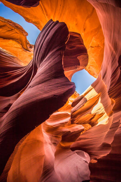 Amazing sandstone formations in Antelope Canyon, Arizona, USA Beautiful vertical wide angle view of amazing sandstone formations in famous Antelope Canyon on a sunny day with blue sky near the old town of Page at Lake Powell, American Southwest, Arizona, USA lake powell stock pictures, royalty-free photos & images