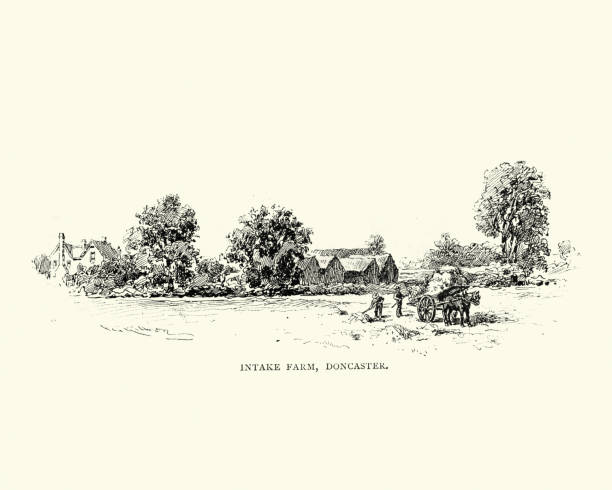 Victorian Intake Farm, Doncaster, 19th Century Vintage engraving of Victorian Intake Farm Doncaster, Yorkshire, England, 1892 agriculture illustrations stock illustrations