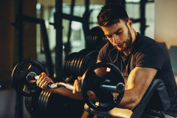 Photo of Handsome man doing biceps lifting barbell on bench in a gym