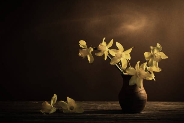 Daffodil in vase on brown background