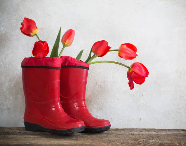 istock red boots with tulios on grunge background 646869728