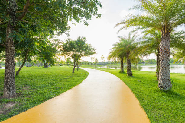 istock Yellow Jogging track at the green garden 646869922