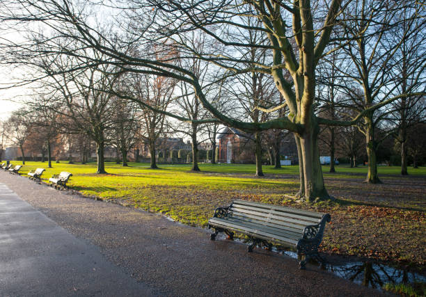 istock Park bench in the morning light autumn 646886062