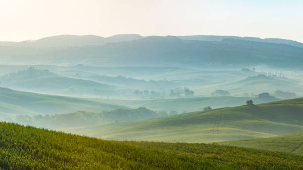 istock The green field Tuscany Italy 646892076