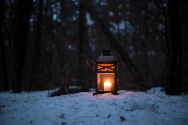istock Wooden lantern with a candle in the evening forest. 646898460