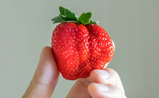 istock Hand holding a fresh ripe giant strawberry 646900394