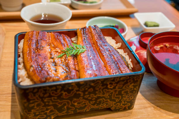 istock broiled eel on rice,unaju, japanese unagi cuisine 646900634