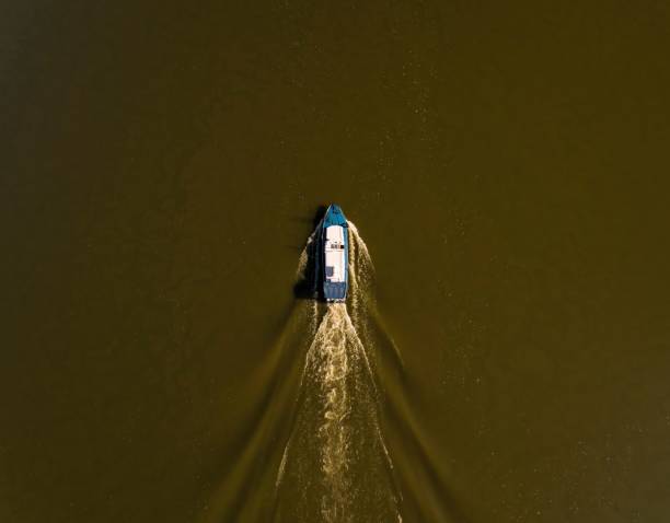istock Boat in the river with green water. 646901014