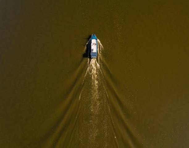 istock Boat in the river with green water. 646901022