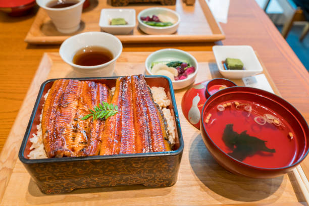 istock broiled eel on rice,unaju, japanese unagi cuisine 646904186