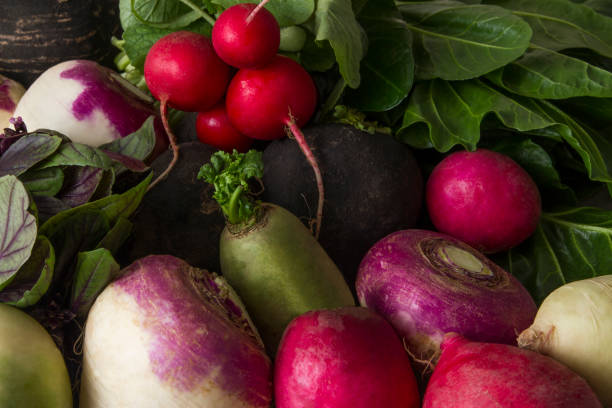 istock Variety of Radish with Chard 646907746
