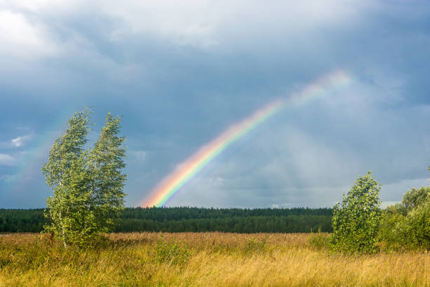 istock Colorful rainbow against the cloudy sky. 646915544