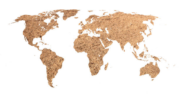 istock Desert map of the world 646918646
