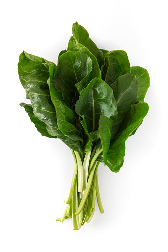 Fresh green chard on white background.