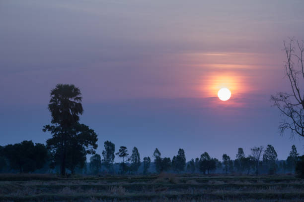 istock landscape,nature,agriculture 646918894