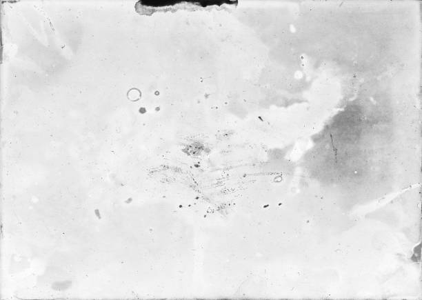 istock Old and damaged photographic paper wrongly developed useful like a layer for photo editor 646931388
