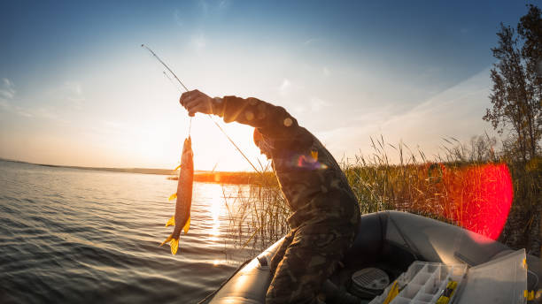 istock Man with fish in the boat 646934460