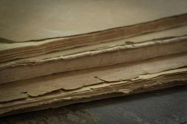 istock Close-up old book classic style and vintage 646934694