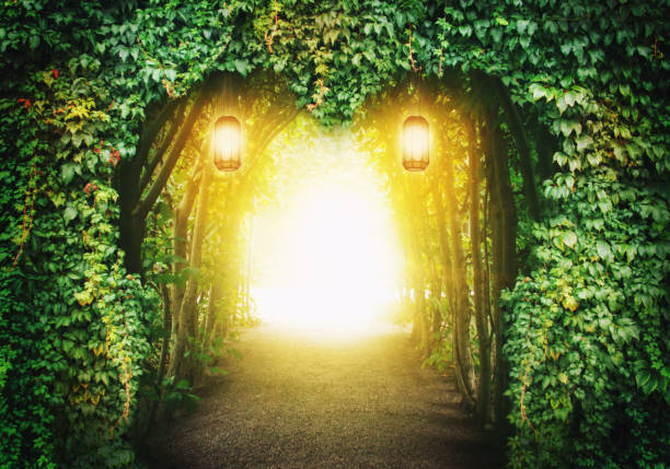 istock Heart road in a fantasy forest 646949412