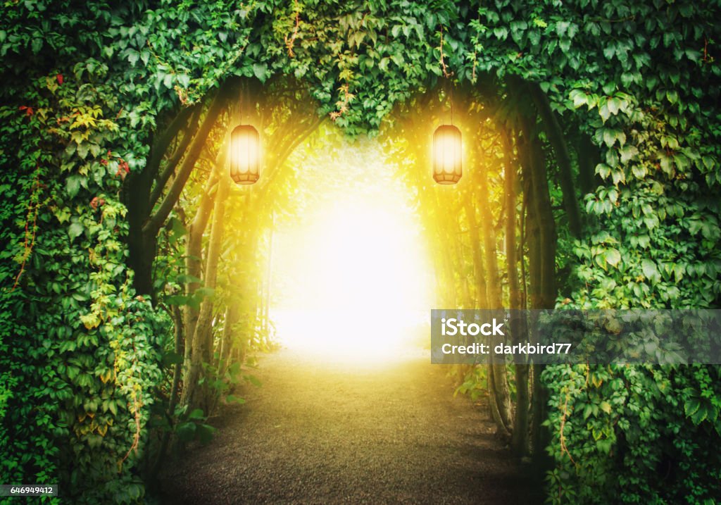 Heart road in a fantasy forest Heart road in a fantasy forest with magic light Mystery Stock Photo