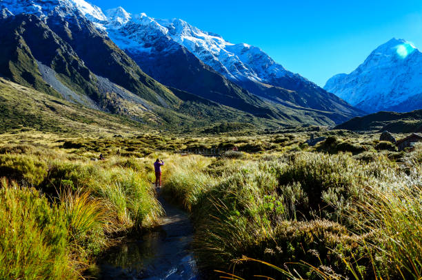 istock Hooker Valley Track,Mount Cook, New Zealand. 646951338