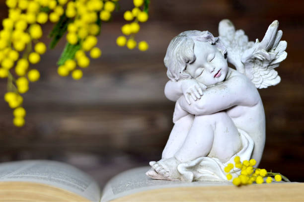 istock Angel and mimosa flower 646954256